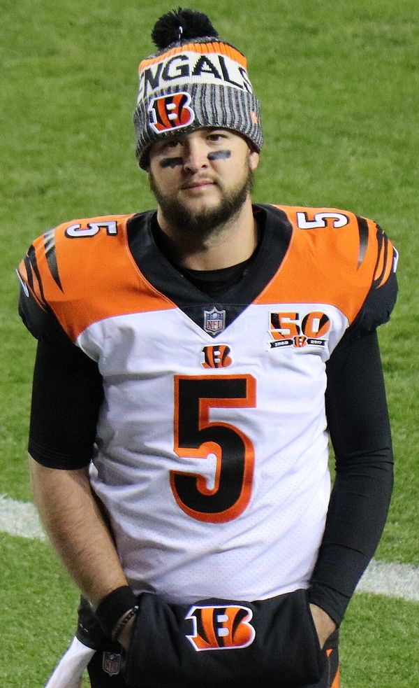 A.J. McCarron with the Cincinnati Bengals, 2017