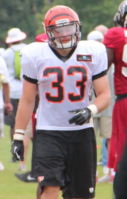 Rex Burkhead in the NFL, 2013