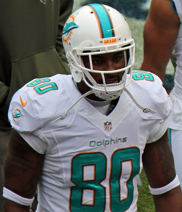 Dion Sims in the NFL