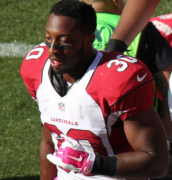 Stepfan Taylor in the NFL