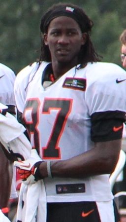 Cobi Hamilton in the NFL, 2013