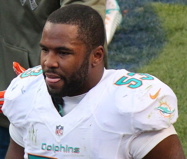 Jelani Jenkins in the NFL