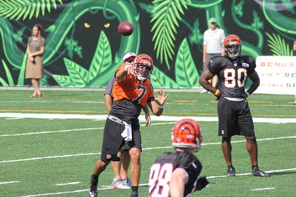 Orson Charles with the Cincinnati Bengals, 2012
