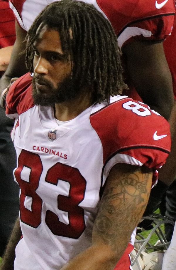 Aaron Dobson in the NFL