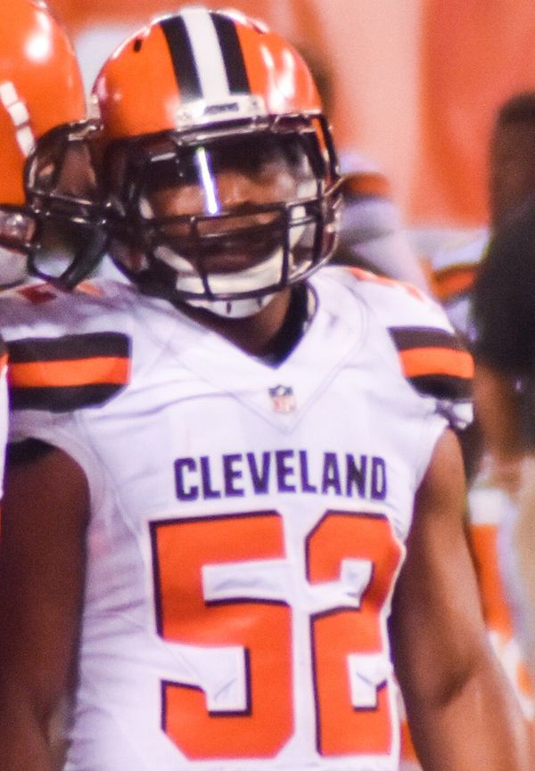 Hayes Pullard in the NFL