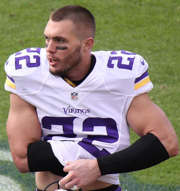 Harrison Smith in the NFL