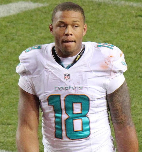 Rishard Matthews in the NFL