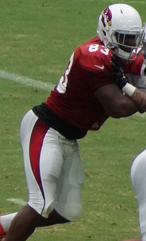 Gerald Christian in the NFL