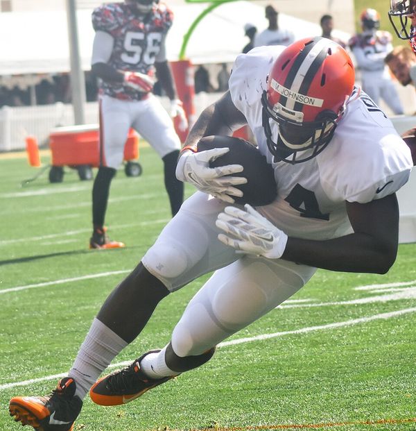 Malcolm Johnson in the NFL