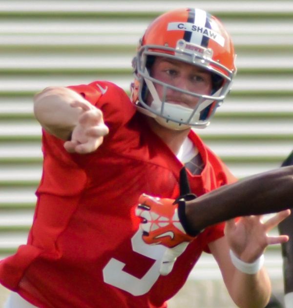 Connor Shaw, 2014