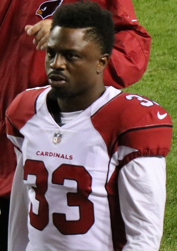 Kerwynn Williams in the NFL