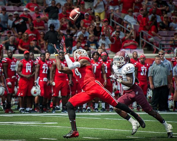 DeVante Parker in the NFL
