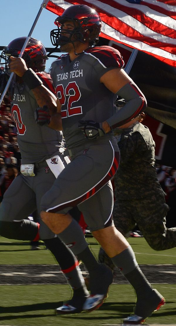 Jace Amaro in the NFL