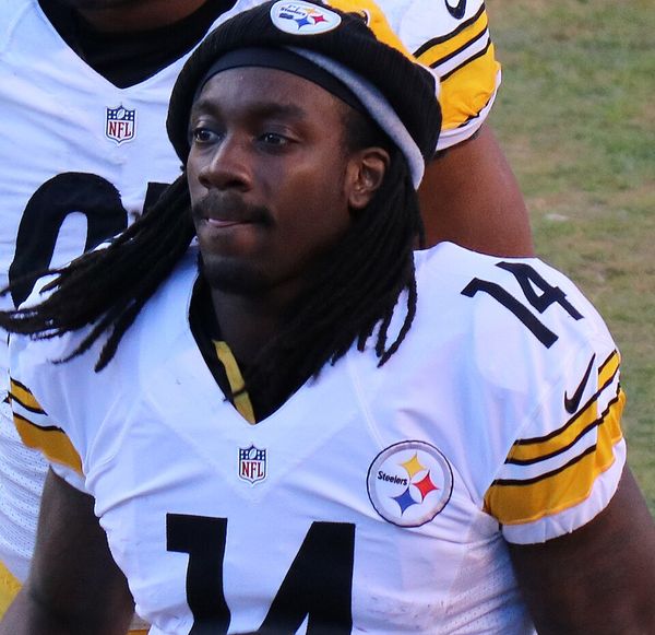 Sammie Coates in the NFL