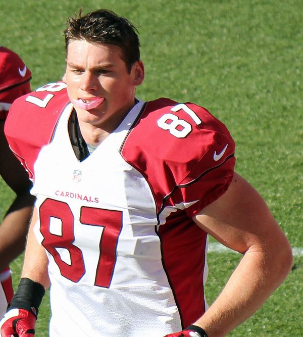 Troy Niklas in the NFL