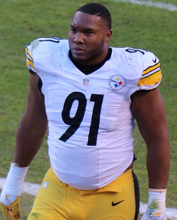 Stephon Tuitt in the NFL