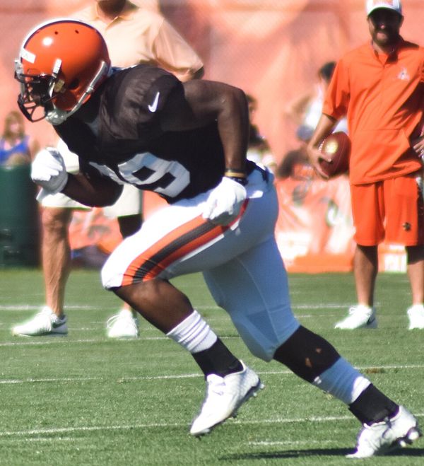 Duke Johnson in the NFL