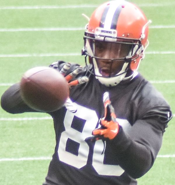 Ricardo Louis in the NFL