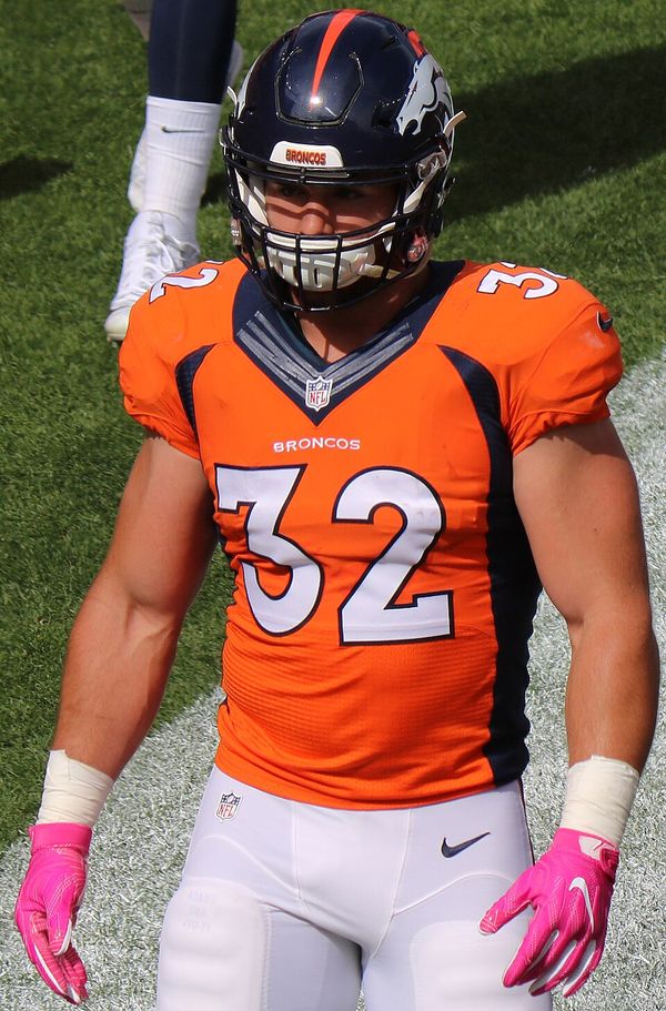 Andy Janovich in the NFL