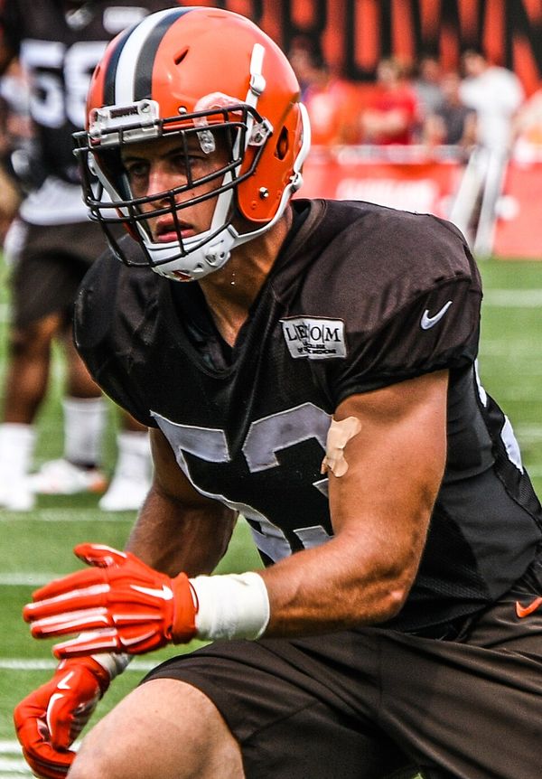 Joe Schobert in the NFL