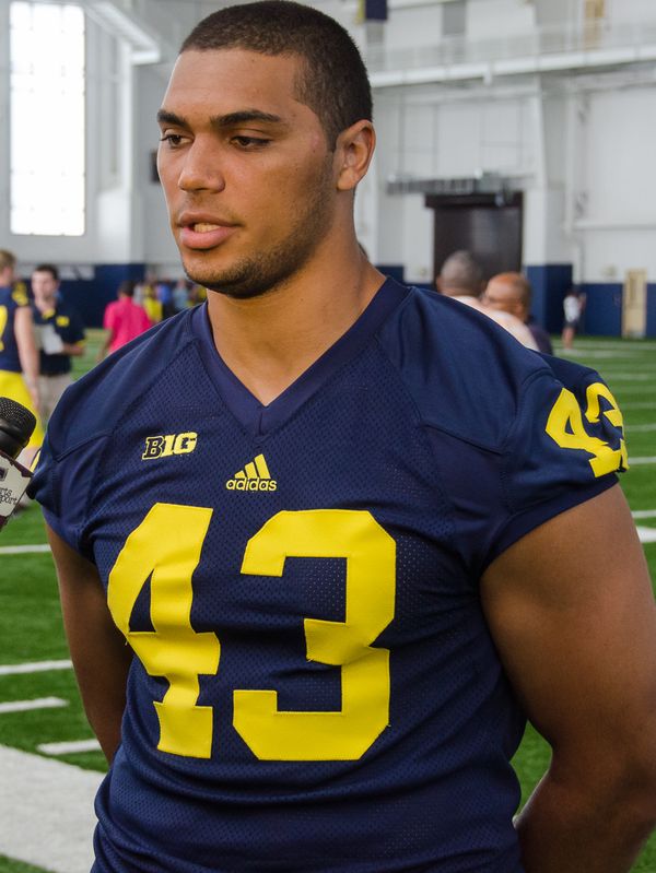 Chris Wormley in the NFL
