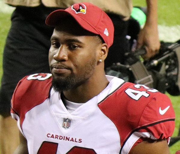 Haason Reddick in the NFL