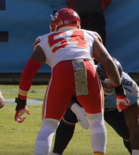 Damien Wilson in the NFL
