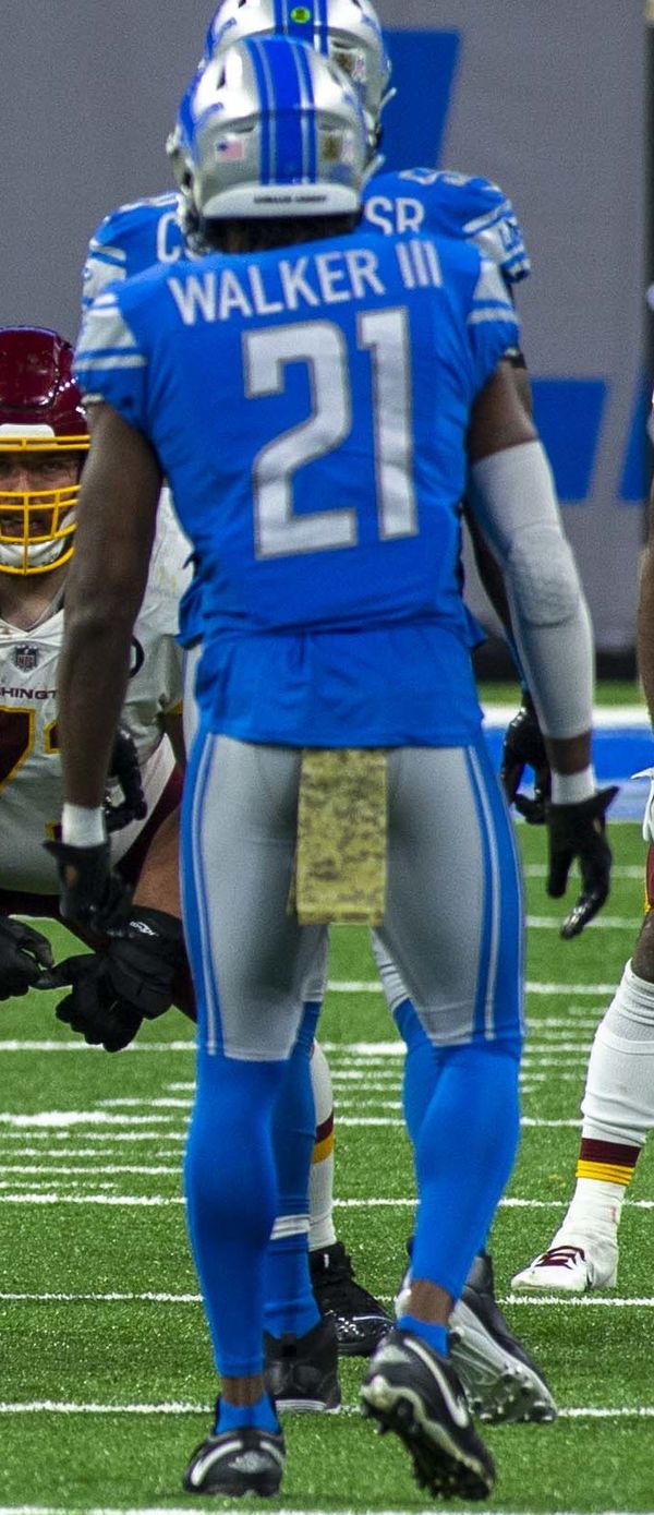 Tracy Walker in the NFL
