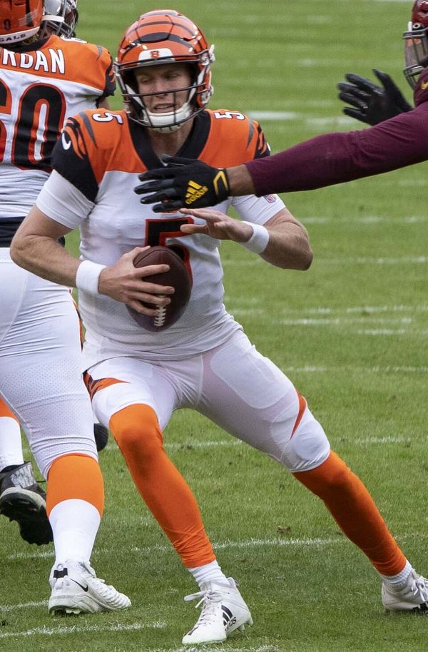 Ryan Finley in the NFL