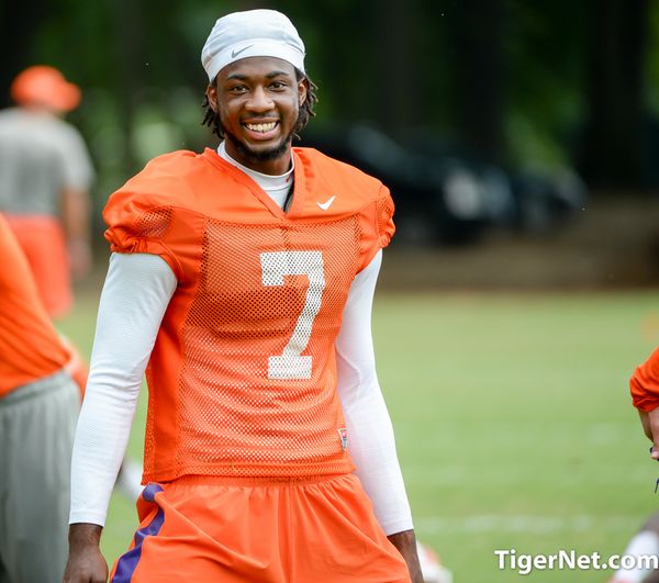 Mike Williams at Clemson