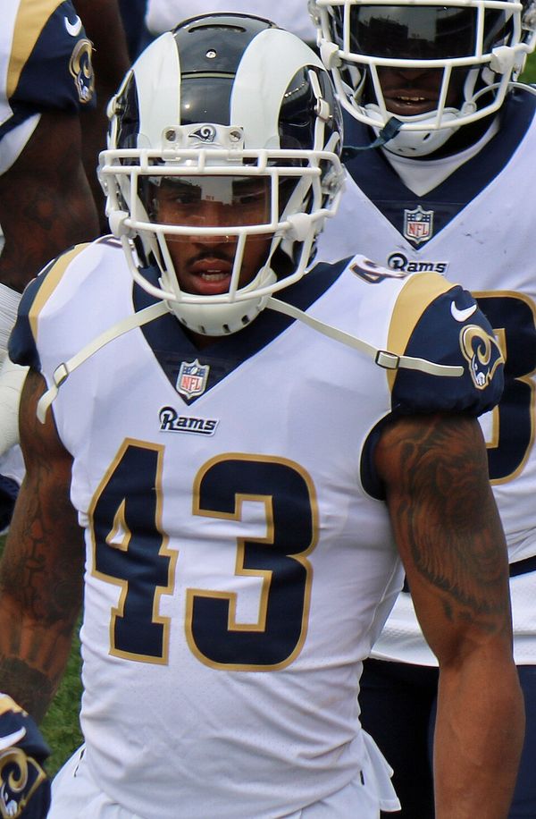 John Johnson in the NFL