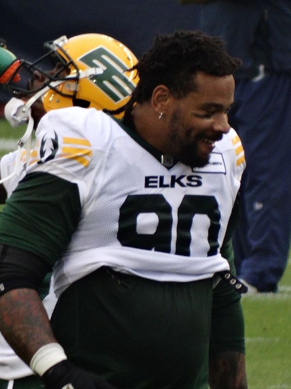 Robert Nkemdiche in the NFL, 2024