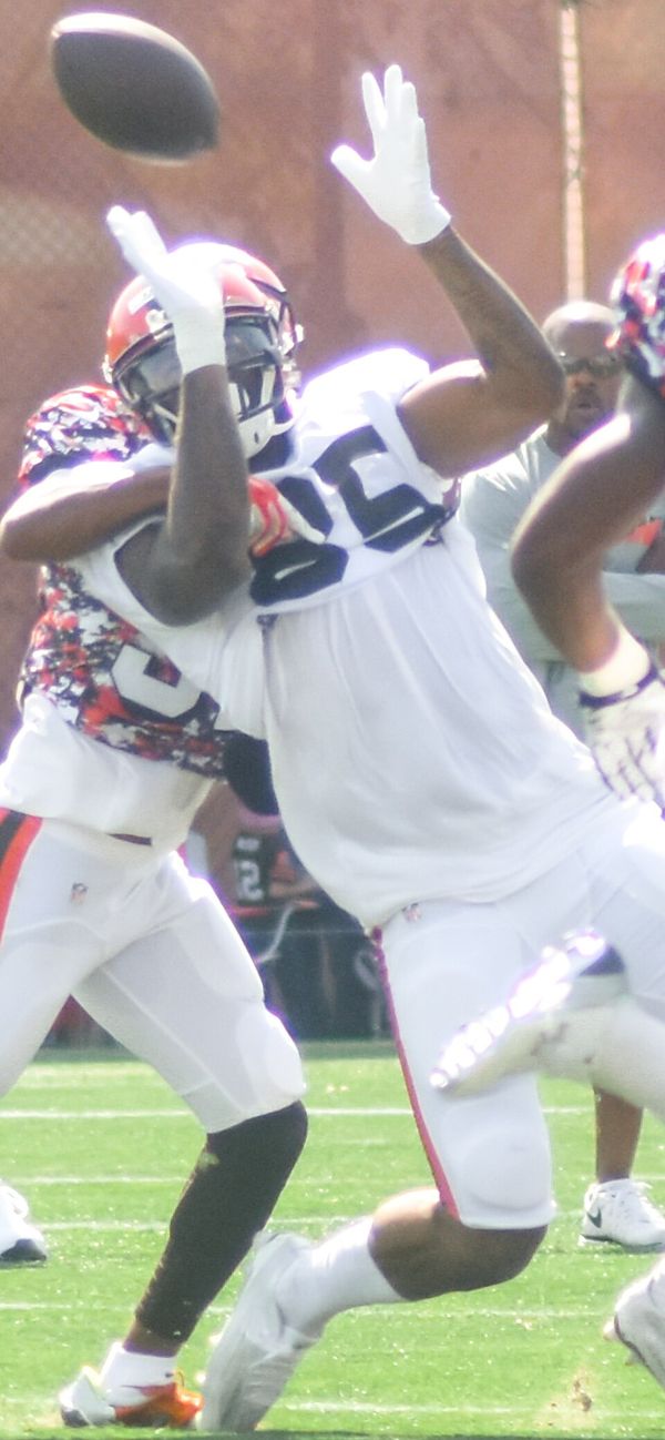 Vince Mayle in the NFL