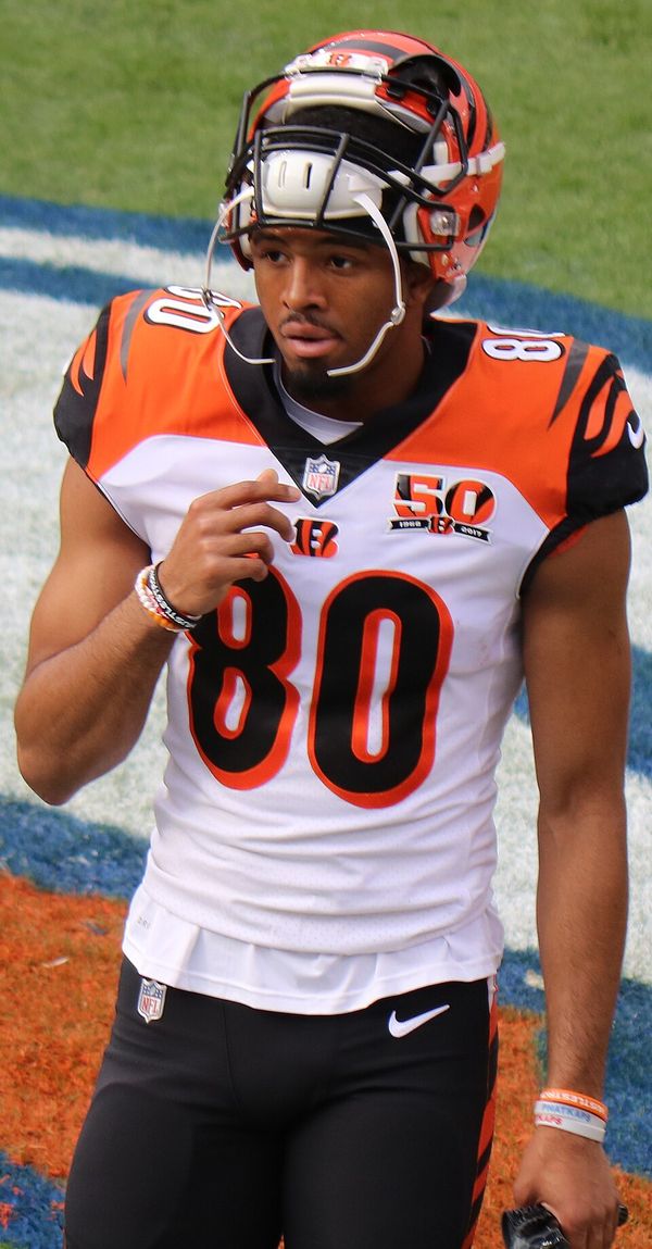 Josh Malone in the NFL