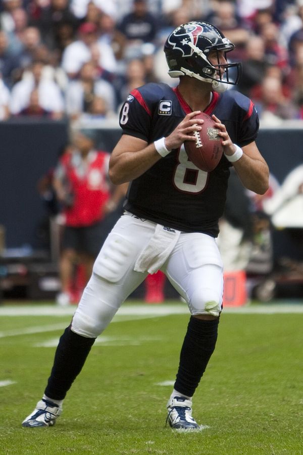Matt Schaub in the NFL
