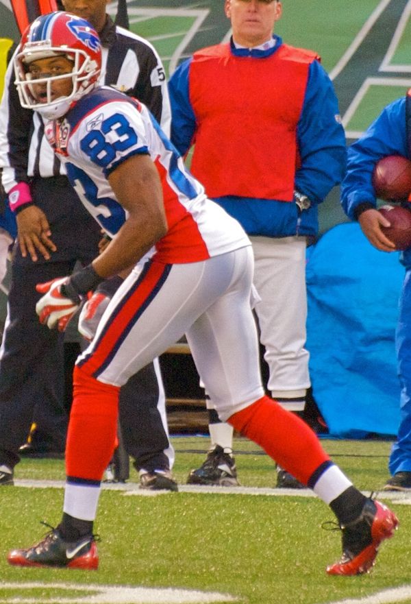 Lee Evans in the NFL