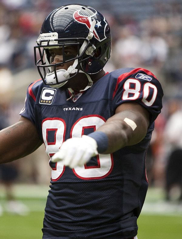 Andre Johnson, 2010