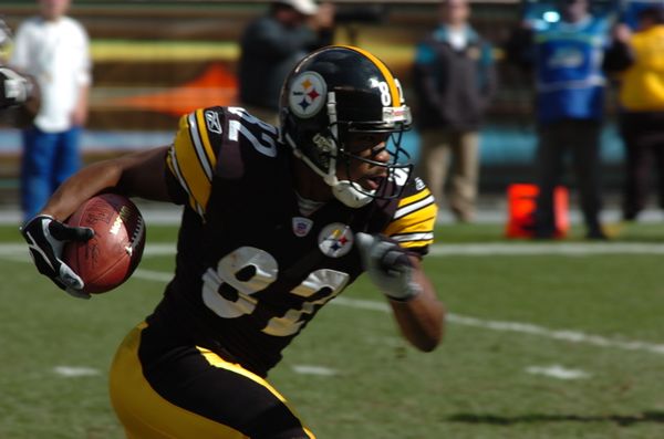 Antwaan Randle El, 2006