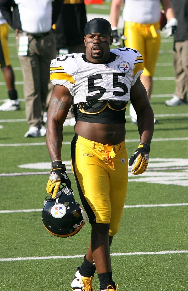 Joey Porter with the Pittsburgh Steelers, 2006