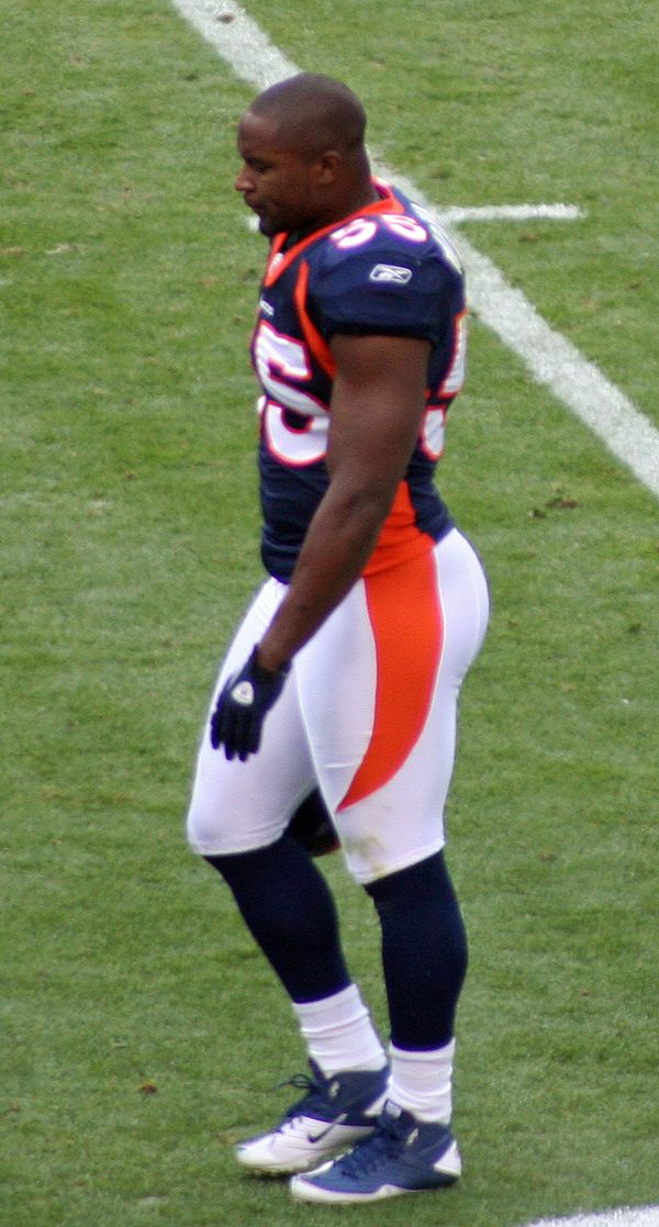 D.J. Williams in the NFL