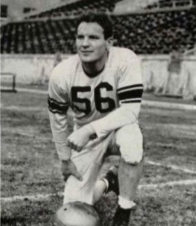 Bill Healy
