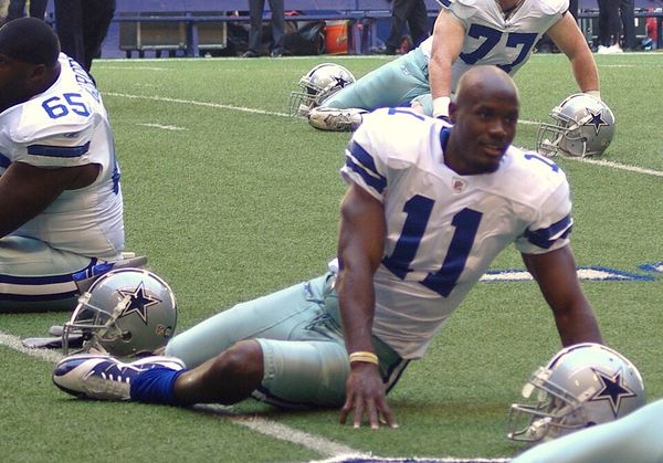 Roy Williams in the NFL