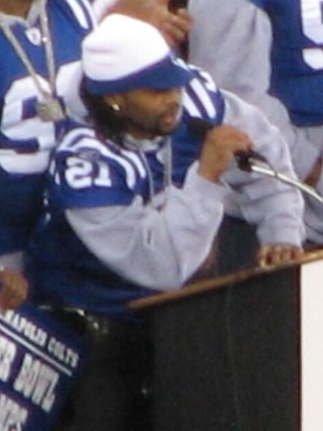 Bob Sanders in the NFL