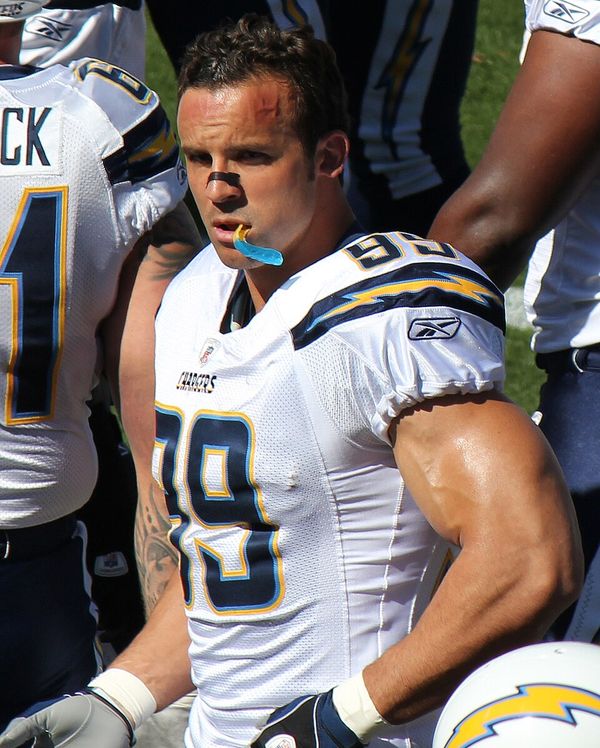 Travis LaBoy in the NFL