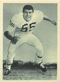 E.J. Holub