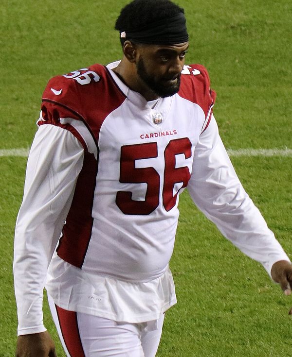Karlos Dansby in the NFL