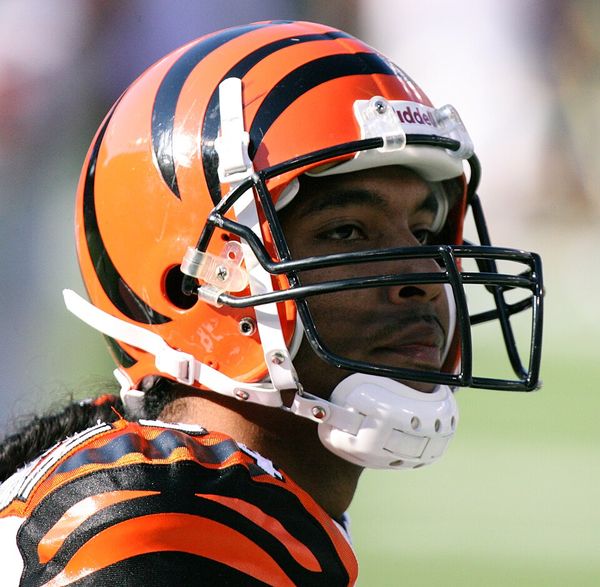 T.J. Houshmandzadeh