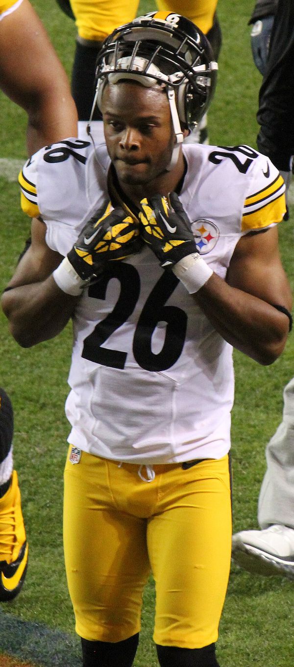 Will Allen in the NFL