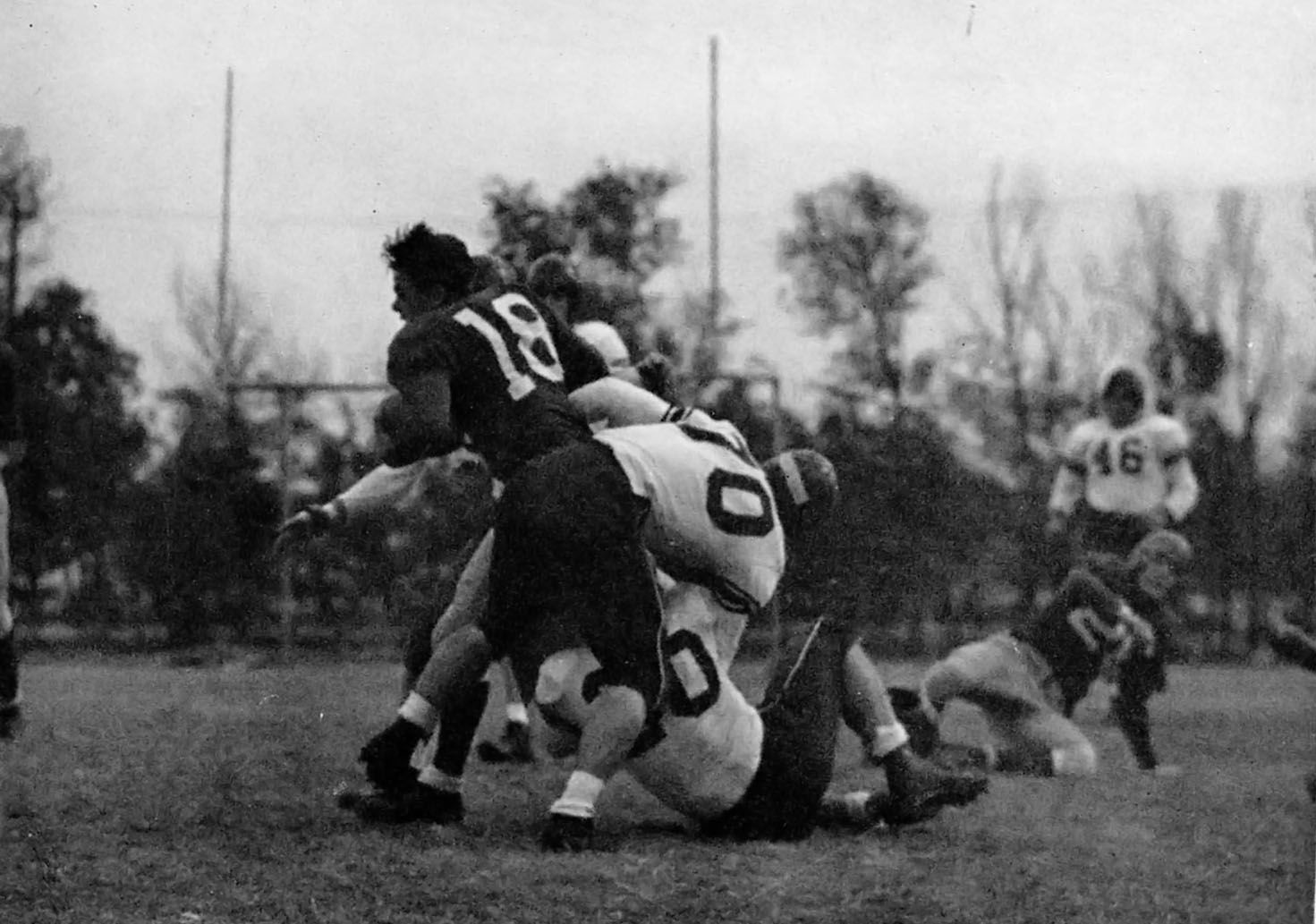 Texas Tech in action against New Mexico